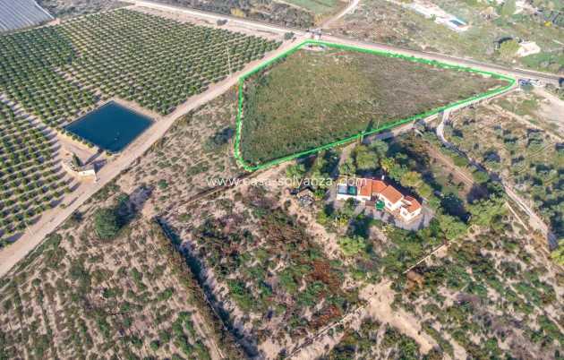 Revente - Country Land - Crevillent - Comunidad valenciana