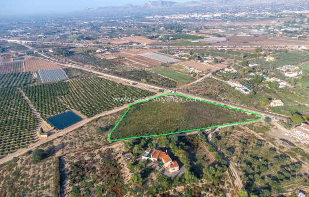 Revente - Country Land - Crevillent - Comunidad valenciana