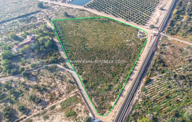 Revente - Country Land - Crevillent - Comunidad valenciana