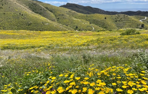 Resale - Country Property/Finca - Cartagena - Costa Calida