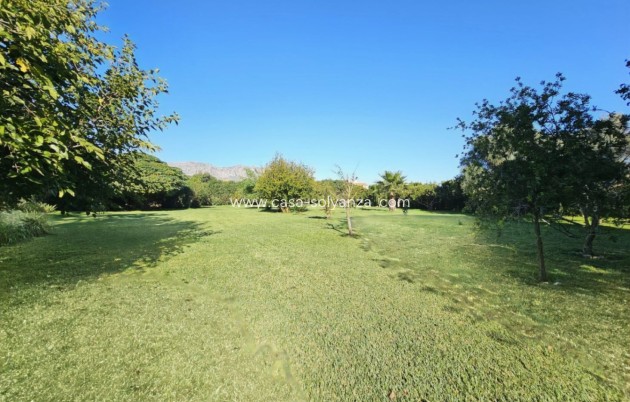 Revente - Villa - Ondara - Inland