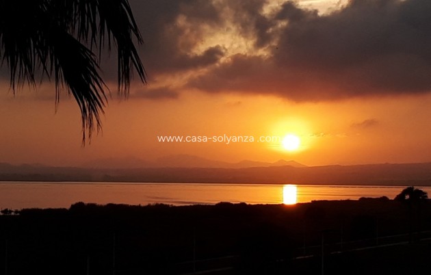 Reventa - Villa - Torrevieja - Costa Blanca
