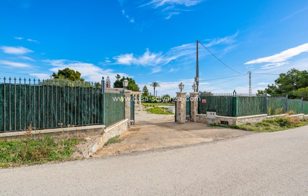 Revente - Villa - Elche/Elx