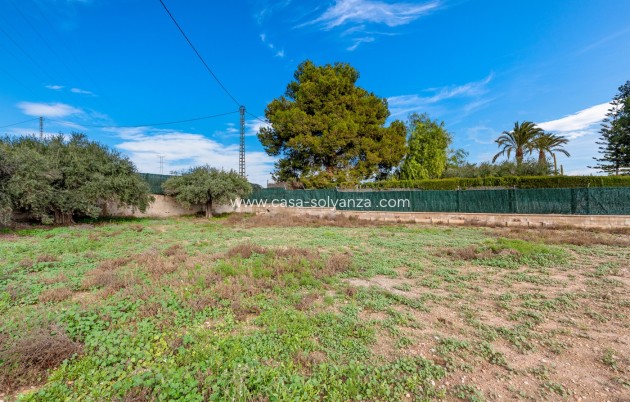 Revente - Villa - Elche/Elx