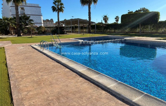 Herverkoop - Appartement / flat - Punta Prima