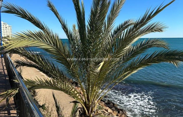 Herverkoop - Appartement / flat - Punta Prima - Costa Blanca