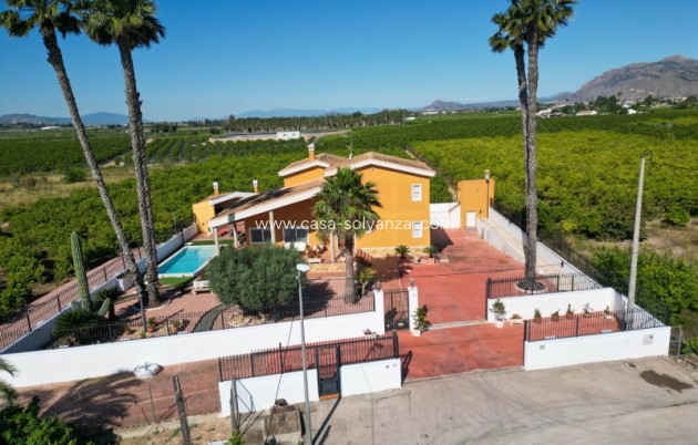 Revente - Villa - Orihuela - Inland