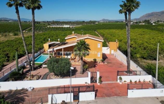Revente - Villa - Orihuela - Inland
