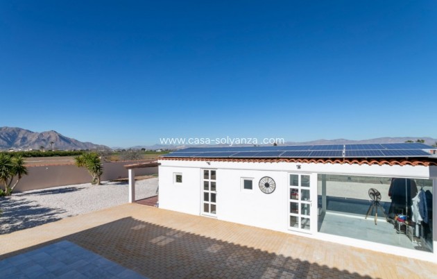 Wiederverkauf - Villa - El Mudamiento