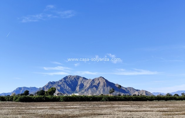 Wiederverkauf - Villa - El Mudamiento