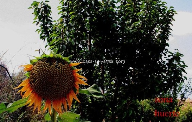 Herverkoop - Villa - Gea Y Truyols