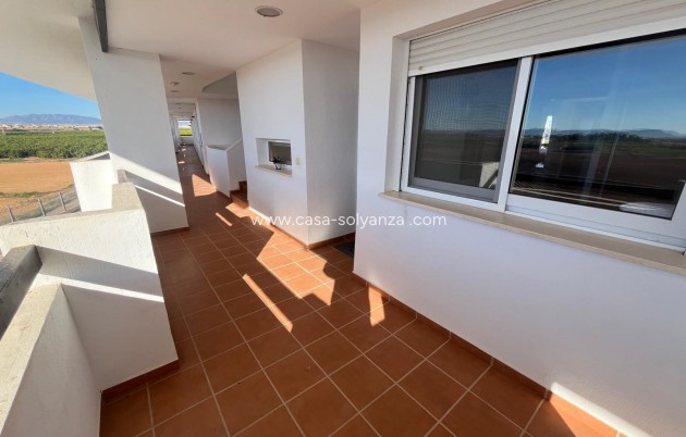 Revente - Appartement - Torre Pacheco - Inland