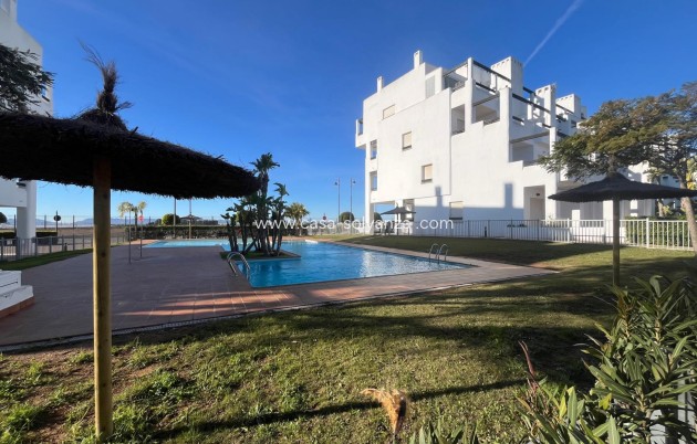 Revente - Appartement - Torre Pacheco - Inland