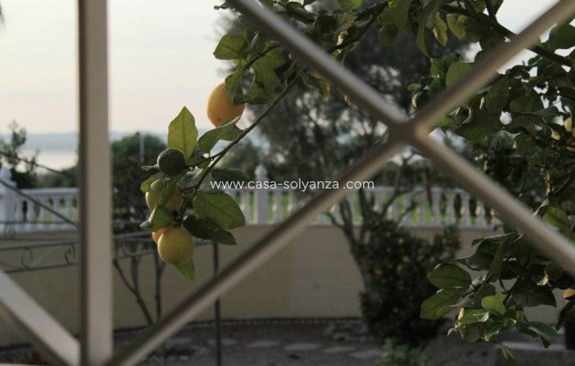 Revente - Villa - Torrevieja - La Siesta