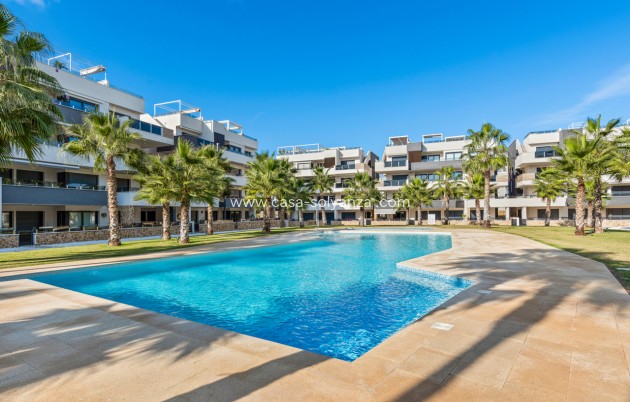 Herverkoop - Appartement / flat - Villamartin - Costa Blanca