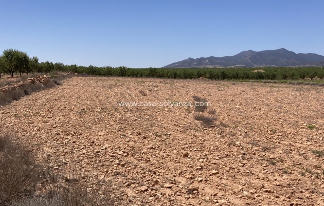 Resale - Land - Pinoso - Lel