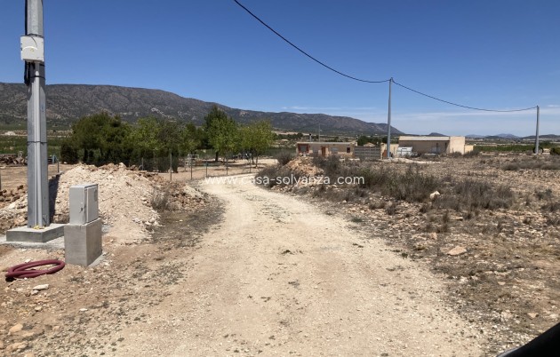Resale - Land - Pinoso - Lel