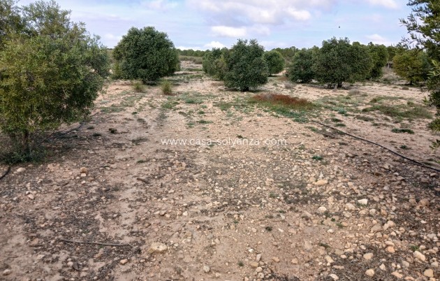 Reventa - Land - Yecla