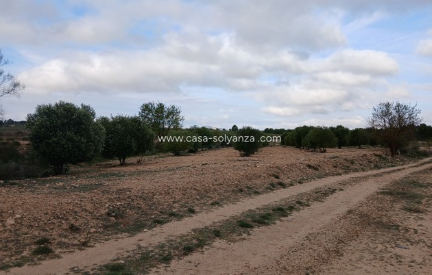 Reventa - Land - Yecla