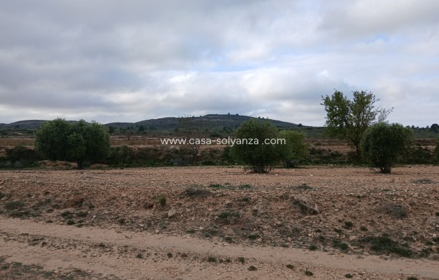 Reventa - Land - Yecla