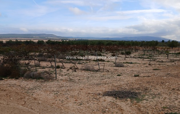 Reventa - Land - Yecla