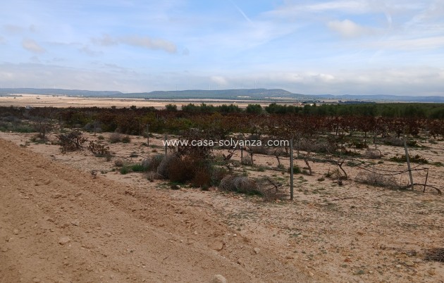 Reventa - Land - Yecla