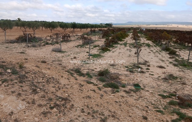 Reventa - Land - Yecla