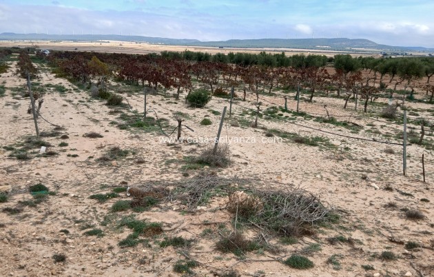 Reventa - Land - Yecla