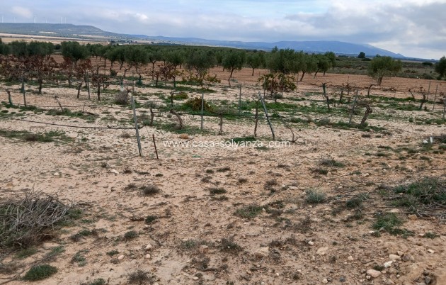 Reventa - Land - Yecla