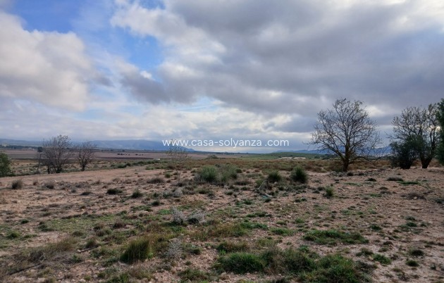 Reventa - Land - Yecla