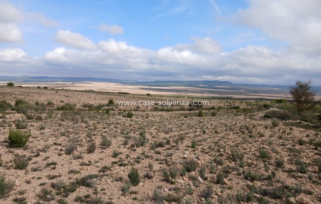 Wiederverkauf - Land - Yecla