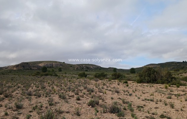 Wiederverkauf - Land - Yecla