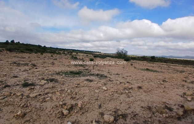 Wiederverkauf - Land - Yecla