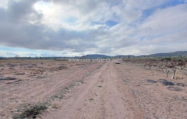 Wiederverkauf - Land - Yecla