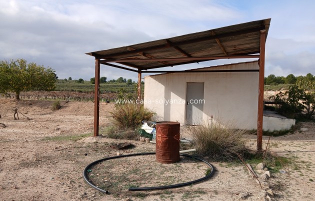 Wiederverkauf - Land - Yecla