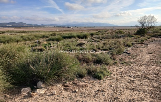 Wiederverkauf - Land - Yecla