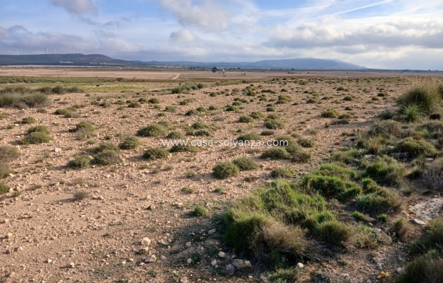 Wiederverkauf - Land - Yecla