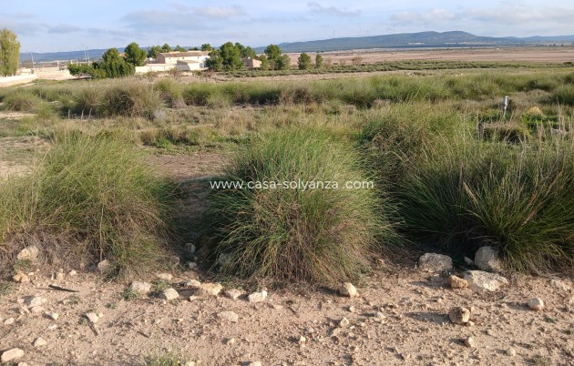 Wiederverkauf - Land - Yecla