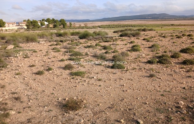 Wiederverkauf - Land - Yecla