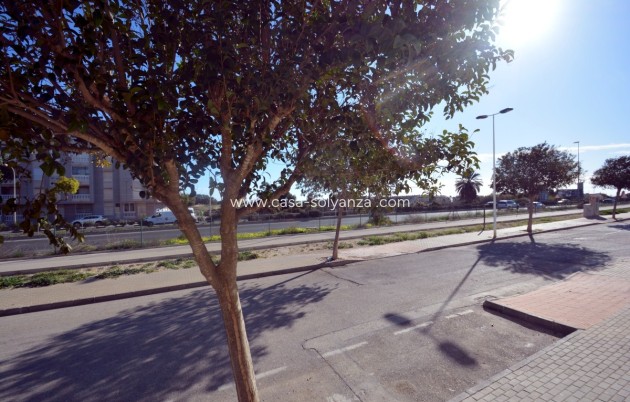 Revente - Maison de ville - Guardamar del Segura - Costa Blanca