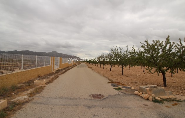 Wiederverkauf - Land - Abanilla