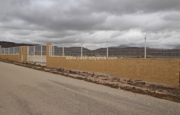 Wiederverkauf - Land - Abanilla