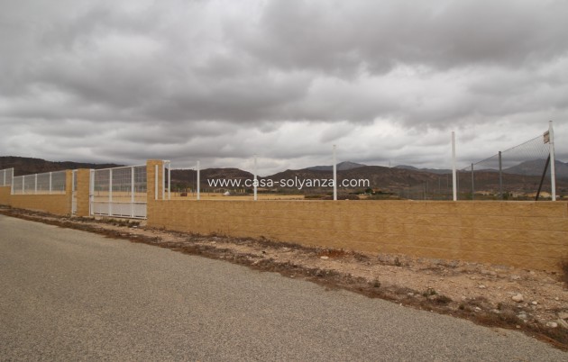 Wiederverkauf - Land - Abanilla