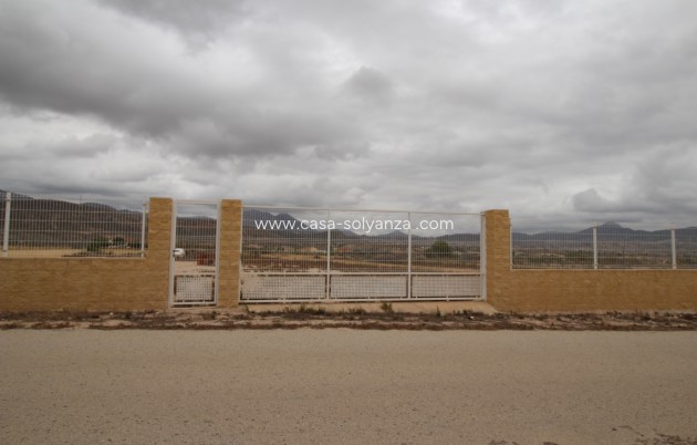 Wiederverkauf - Land - Abanilla