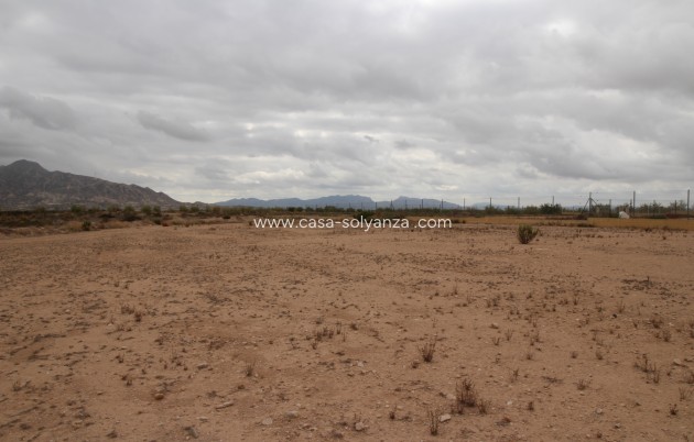 Wiederverkauf - Land - Abanilla