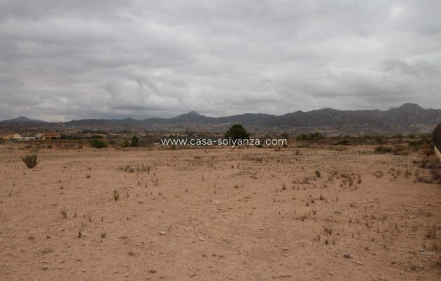 Wiederverkauf - Land - Abanilla