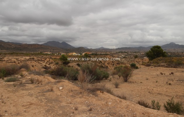 Wiederverkauf - Land - Abanilla