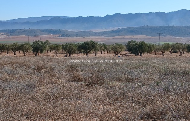 Wiederverkauf - Land - Yecla