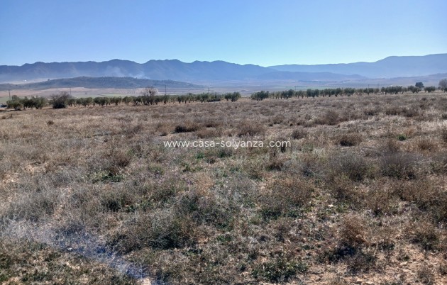 Wiederverkauf - Land - Yecla