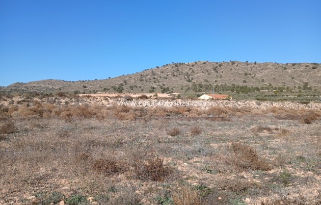 Wiederverkauf - Land - Yecla